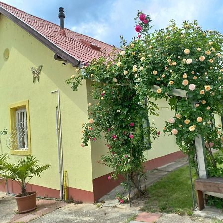 Arnyas Park Apartmanhaz Bed & Breakfast Balatonalmadi Exterior photo